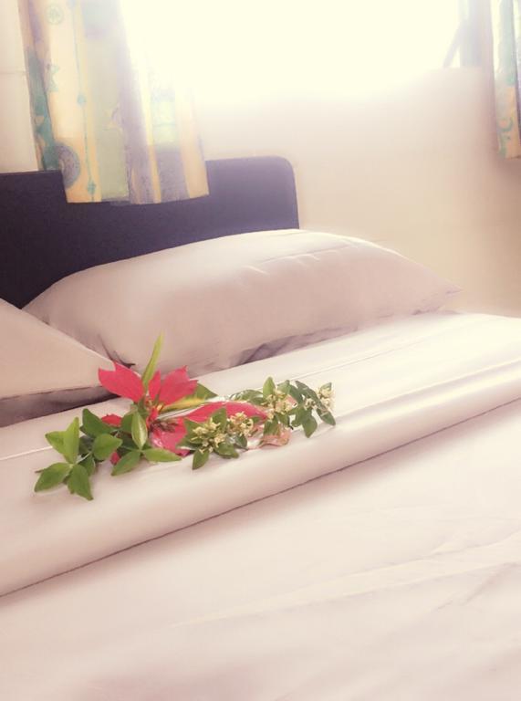 Green Lodge Holiday Homes نوكو ألوفا المظهر الخارجي الصورة